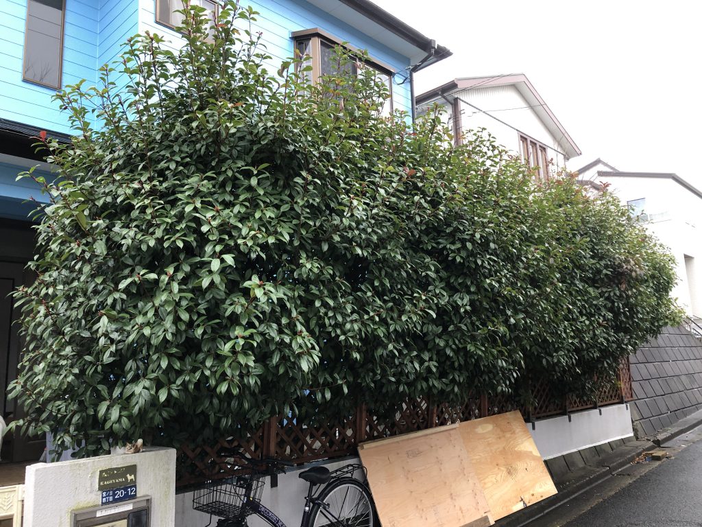 植栽管理・施工