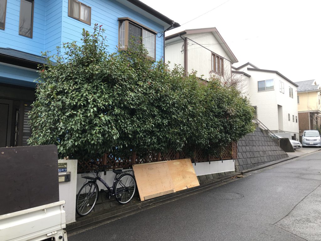 植栽管理・施工|施工写真1