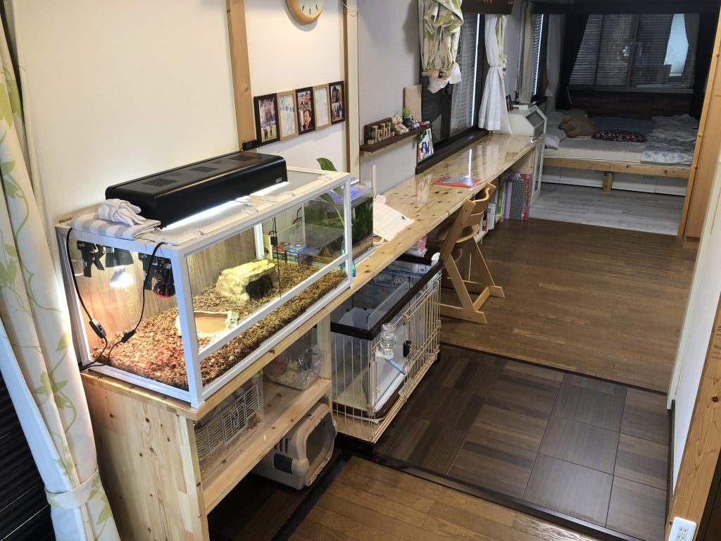 部屋改造リフォーム(キッチン新設・クロス)|施工写真17